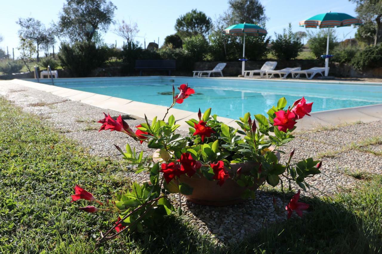 Agriturismo Tinti Монтіано Екстер'єр фото