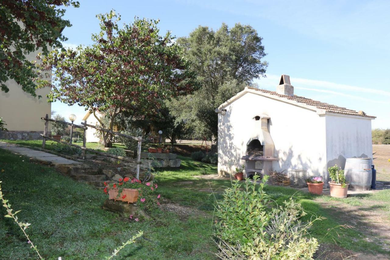 Agriturismo Tinti Монтіано Екстер'єр фото