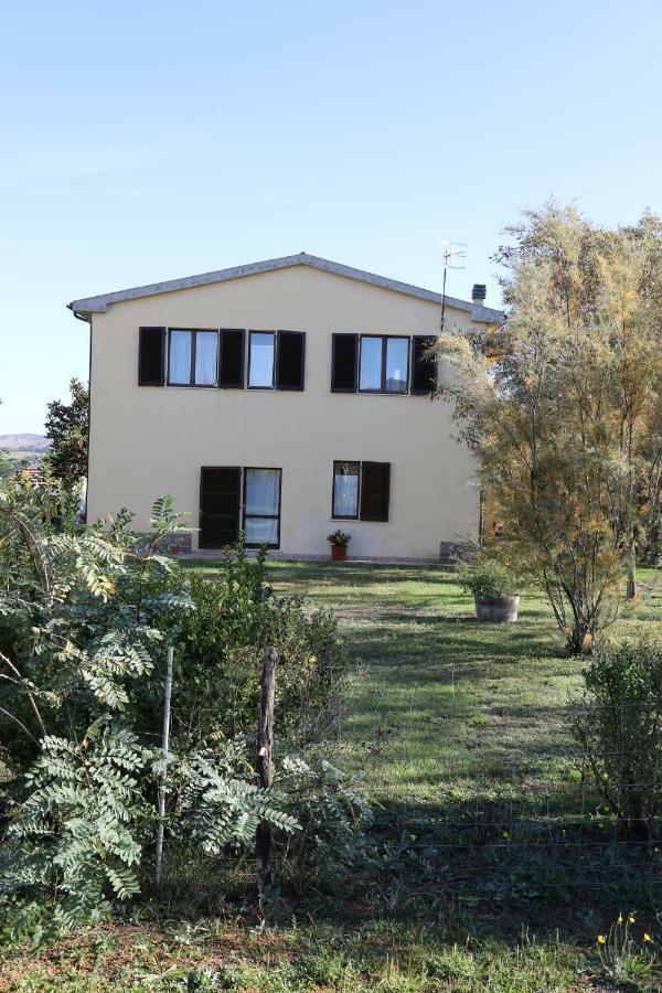 Agriturismo Tinti Монтіано Екстер'єр фото